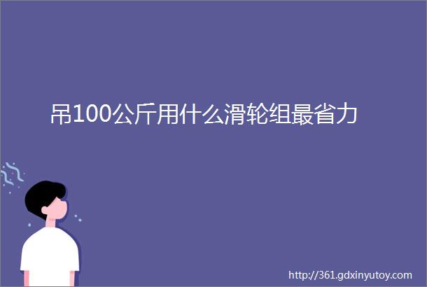 吊100公斤用什么滑轮组最省力